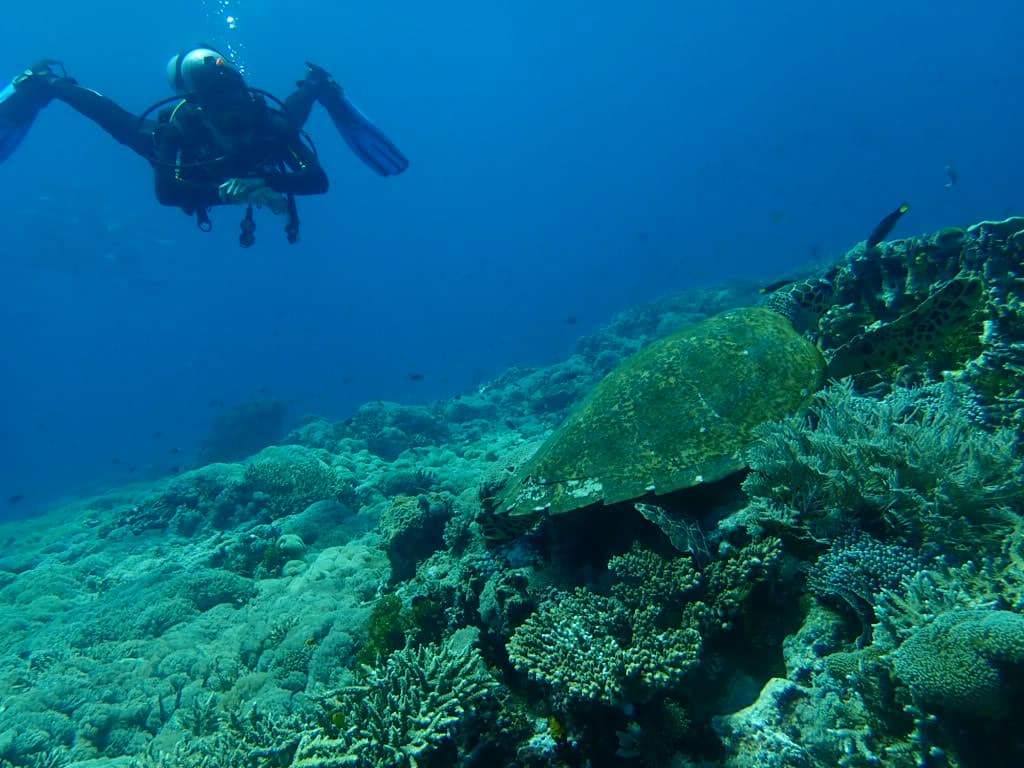 Azul Komodo scuba diving practicing buoyancy control 