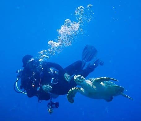 Azul Komodo dive instructor scuba diving with sea turtle